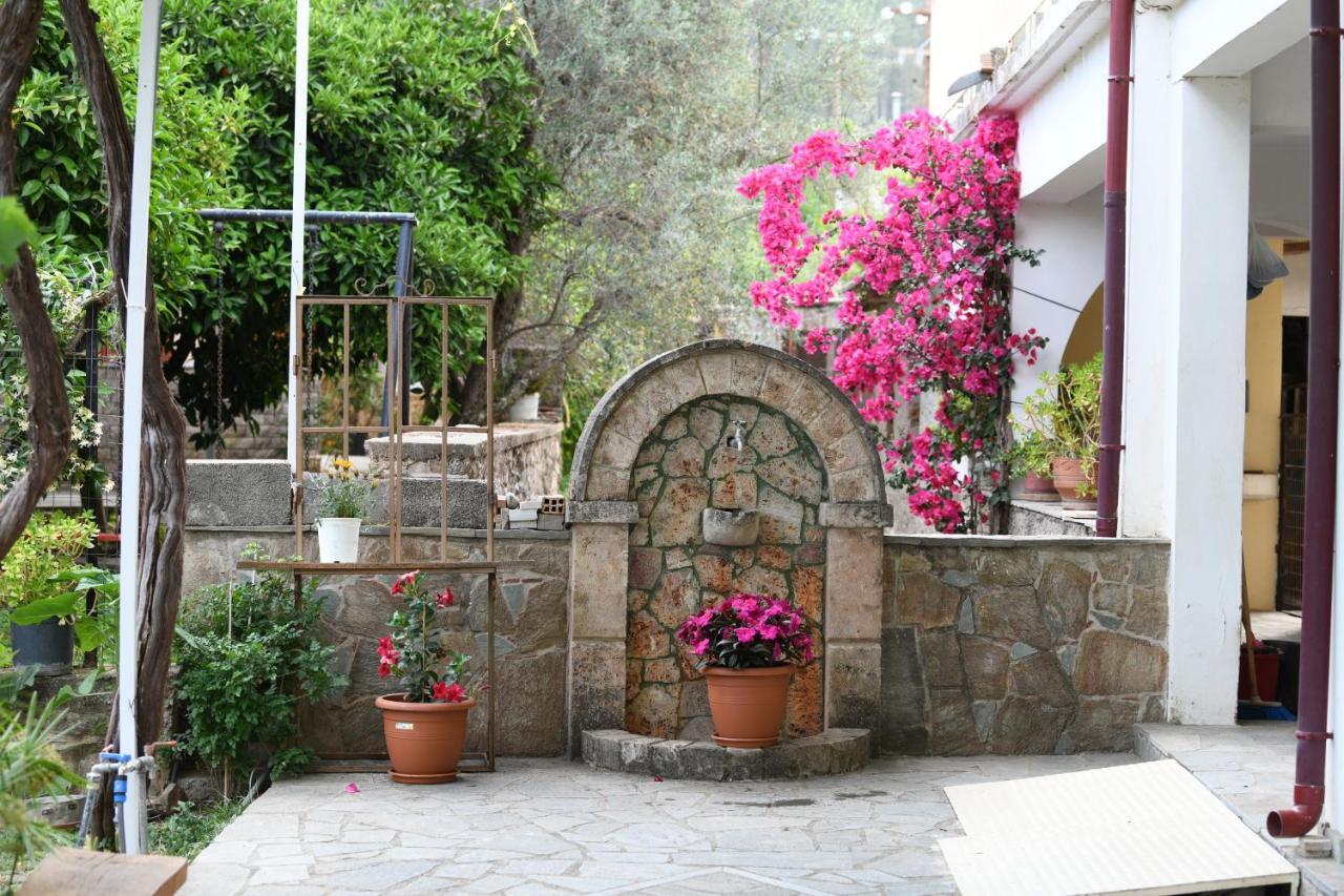 Art Flowers And Culture Mystras Exteriér fotografie
